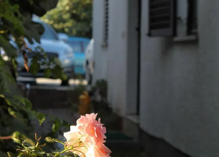 公寓 7137b *